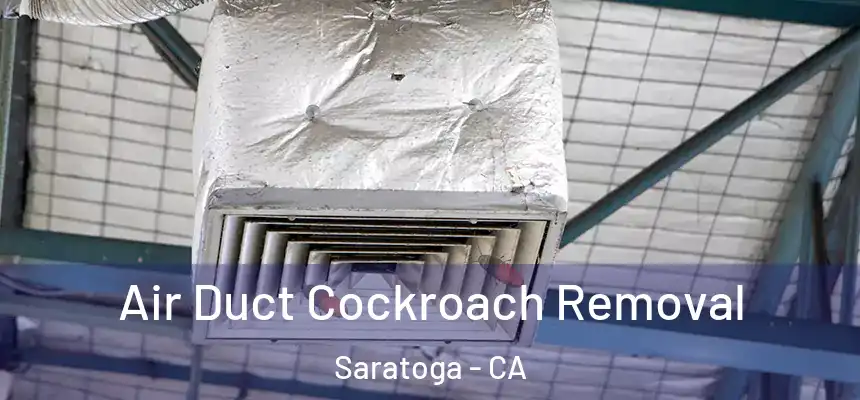 Air Duct Cockroach Removal Saratoga - CA
