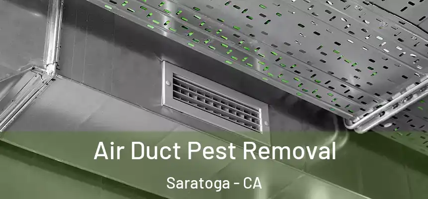  Air Duct Pest Removal Saratoga - CA
