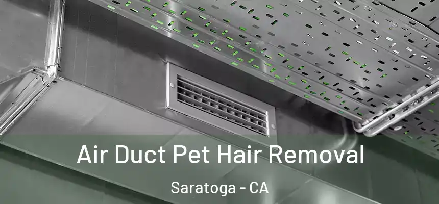  Air Duct Pet Hair Removal Saratoga - CA