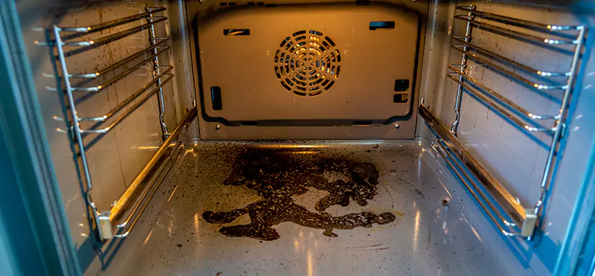 Our Dryer Vent Mold Cleaning Services in Saratoga, CA