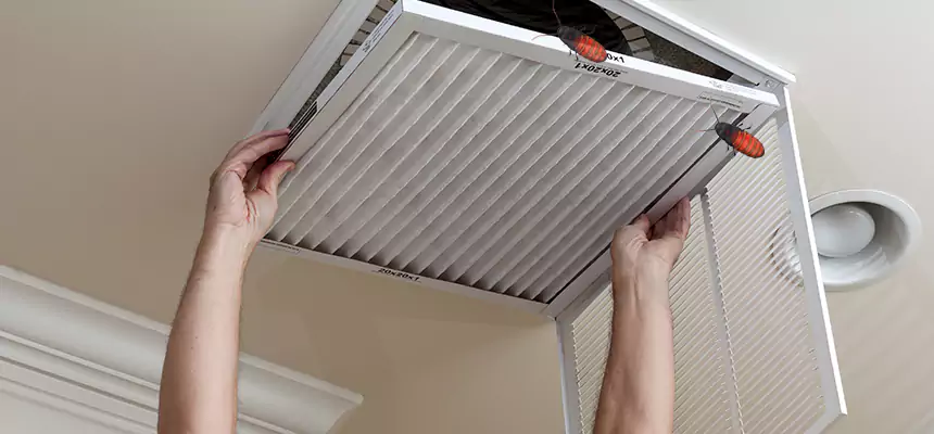 Our Insect Removal from Air Ducts Services in Saratoga, CA