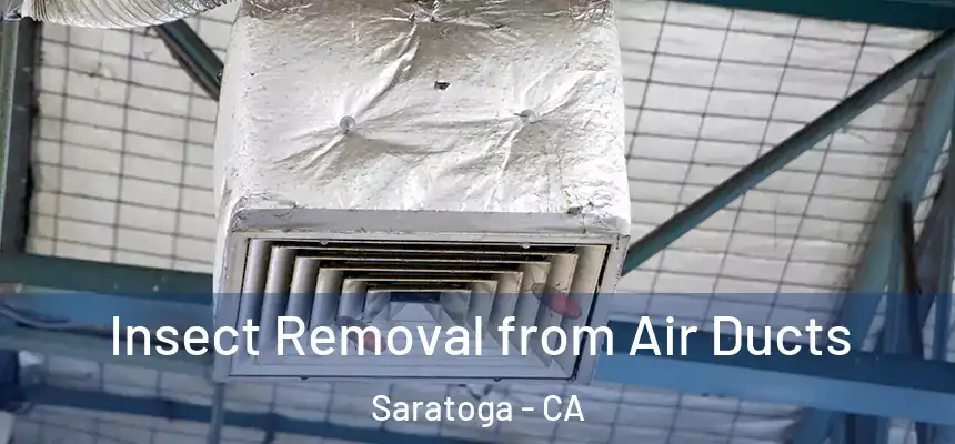 Insect Removal from Air Ducts Saratoga - CA