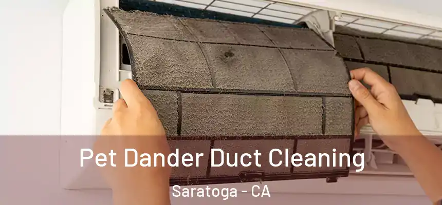 Pet Dander Duct Cleaning Saratoga - CA