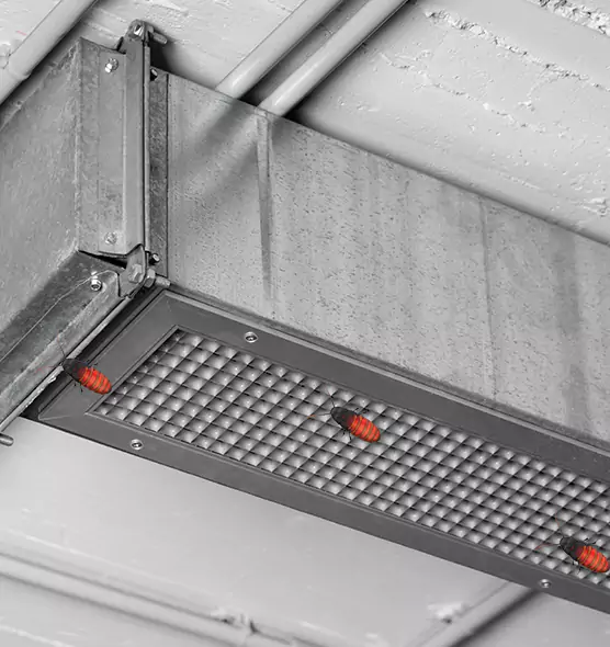 Affordable Insect Removal from Air Ducts in Saratoga, CA