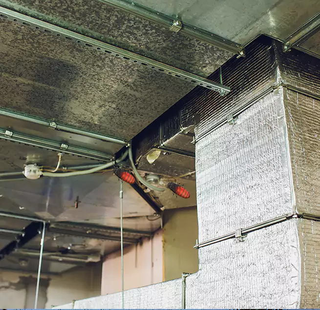 Why Homeowners & Businesses Trust Us in Saratoga, CA?