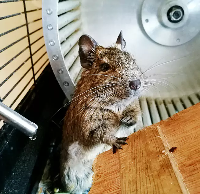 Why Homeowners & Businesses Trust Us Saratoga, CA