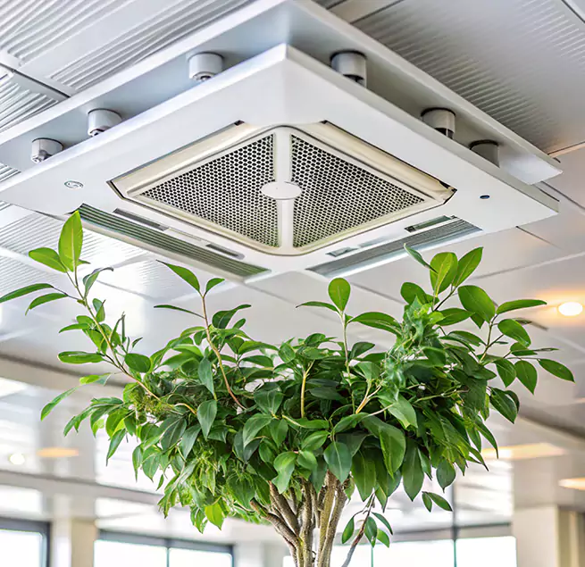 Why Homeowners & Businesses Trust Us in Saratoga, CA?