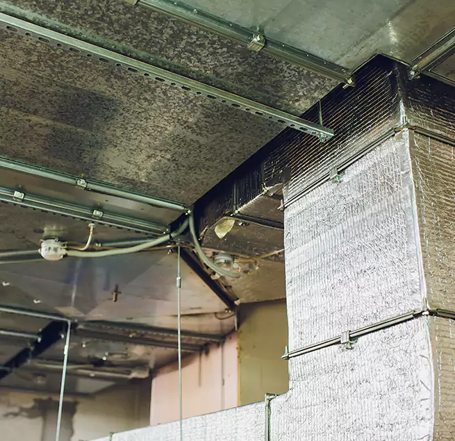 Why Homeowners & Businesses Trust Us in Saratoga, CA?